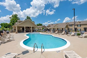Zero entry saltwater swimming pool with tanning shelf